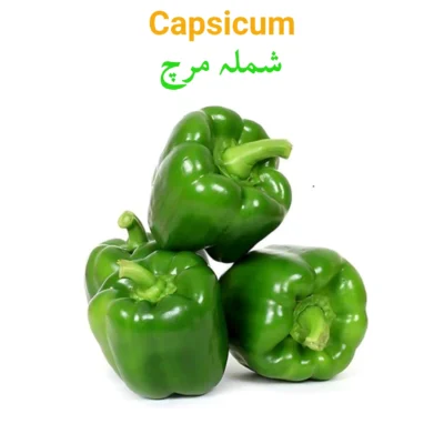 Capsicum (Shimla)  شملہ مرچ