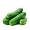 Cucumber  کھیرا