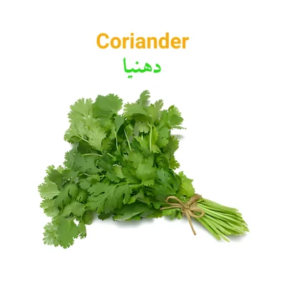 Coriander (Dhania) دھنیا