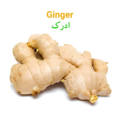 Ginger(Adrak) ادرک
