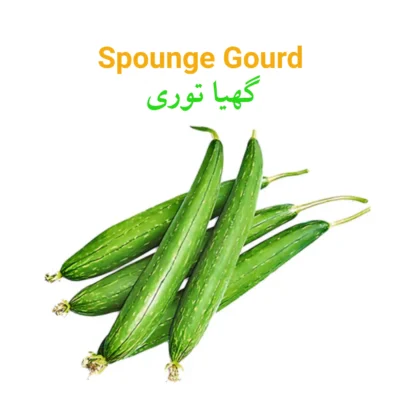 Sponge Groud (Tori) گھیہ توری