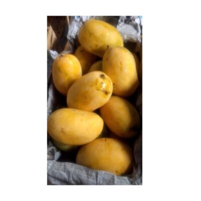 Nawabpuri Mango