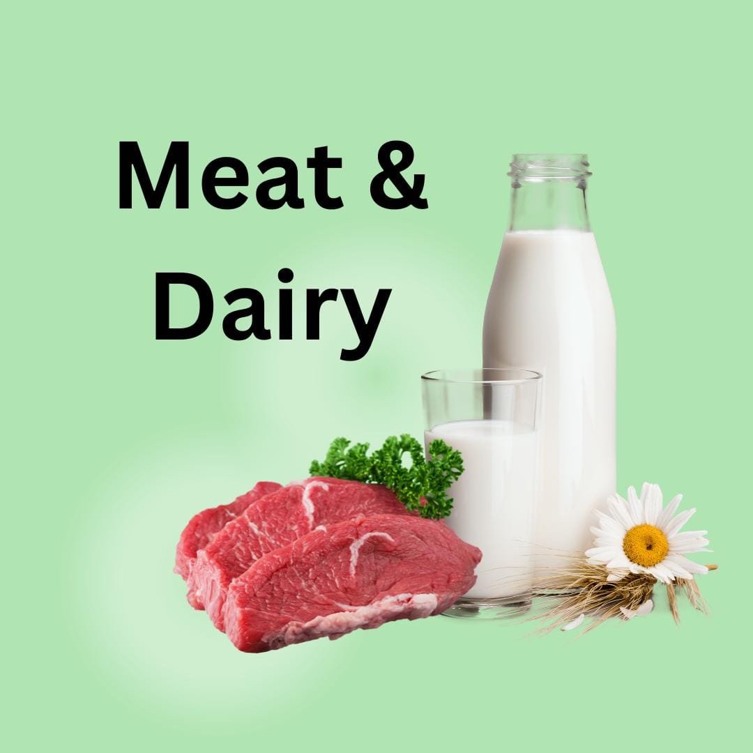 Meat & Dairy