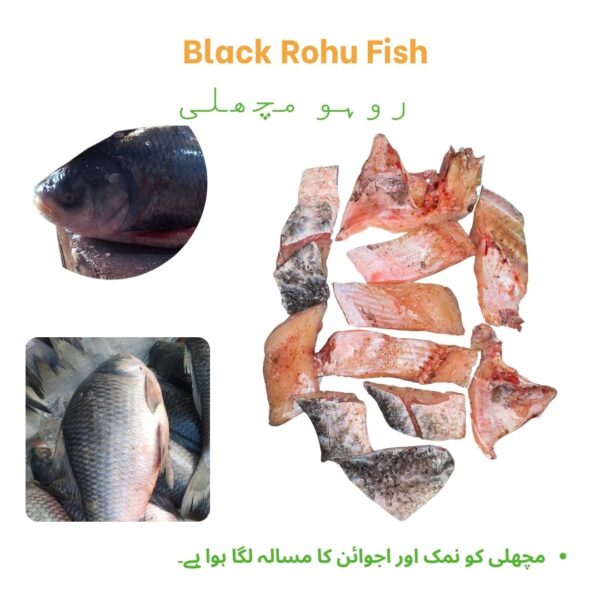 Black Rohu Fish (Fry) روہو مچھلی