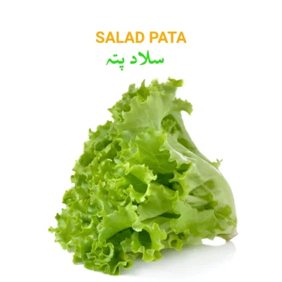 Salad Patta (Lettuce) سلاد پتہ