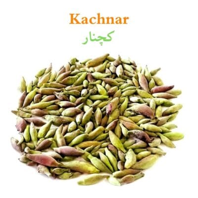 Kachnar کچنار