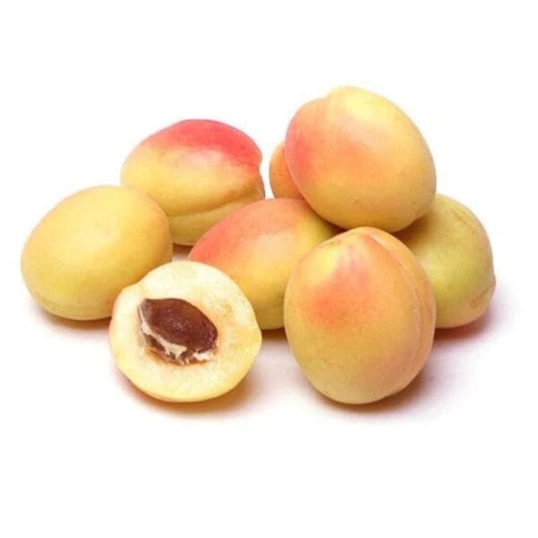 apricot خوبانی