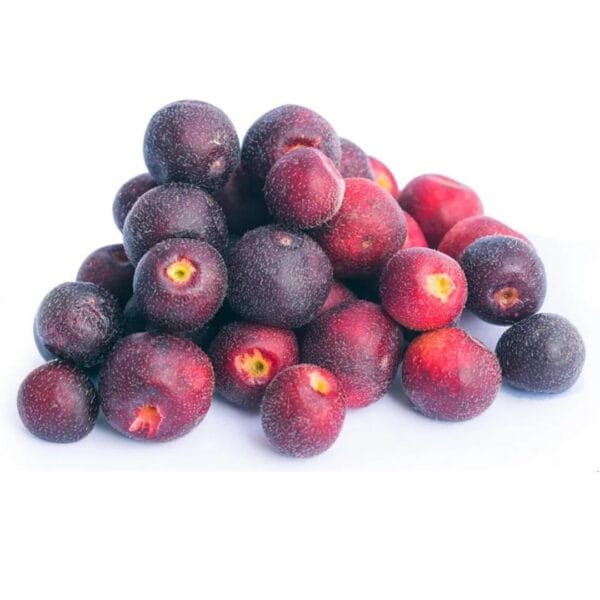 Falsa فالسہ