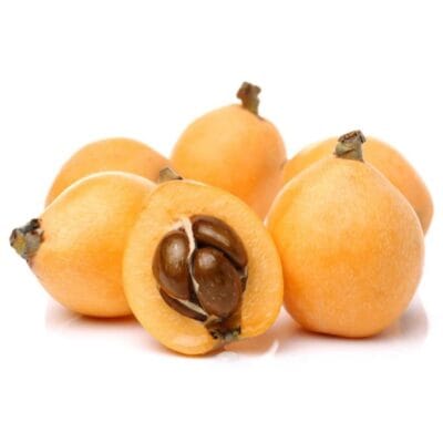 Loquat لوکاٹ