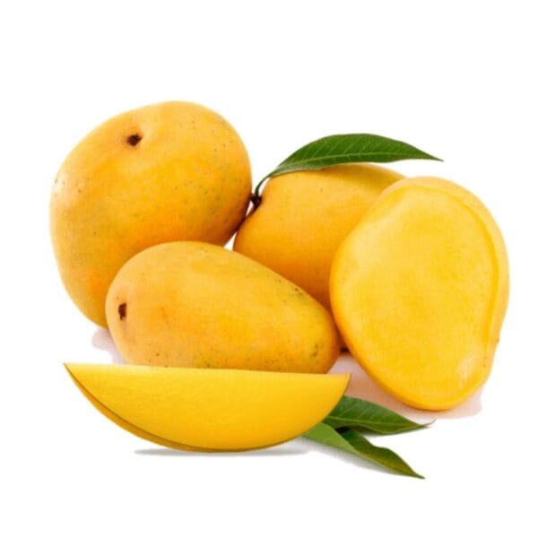Mango ( Sindhri ) آم سندھڑی